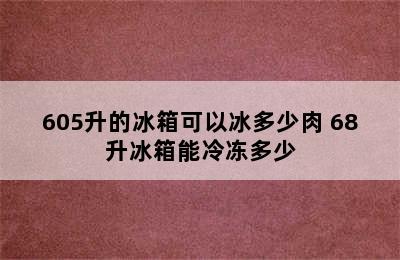 605升的冰箱可以冰多少肉 68升冰箱能冷冻多少